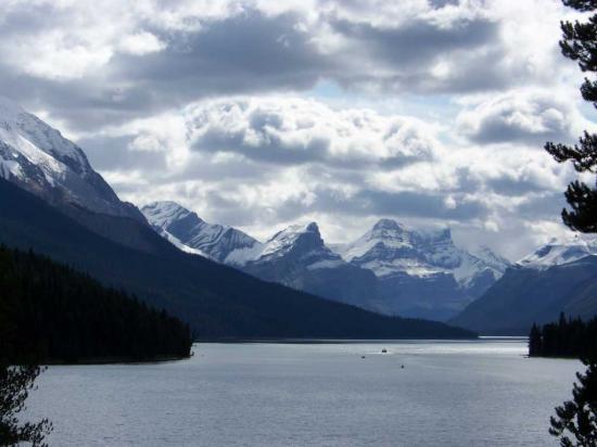 Jasper - Lac Maligne